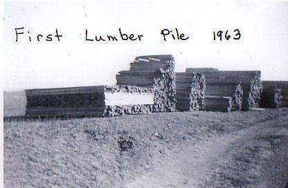 History First Lumber Piles
