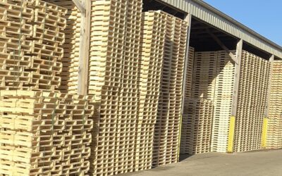 Quality Pallets vs. Cheap Pallets