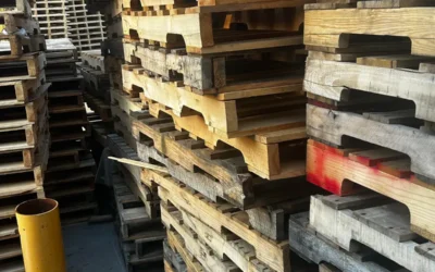 AI Vision Systems in the Pallet Industry: What You Need to Know